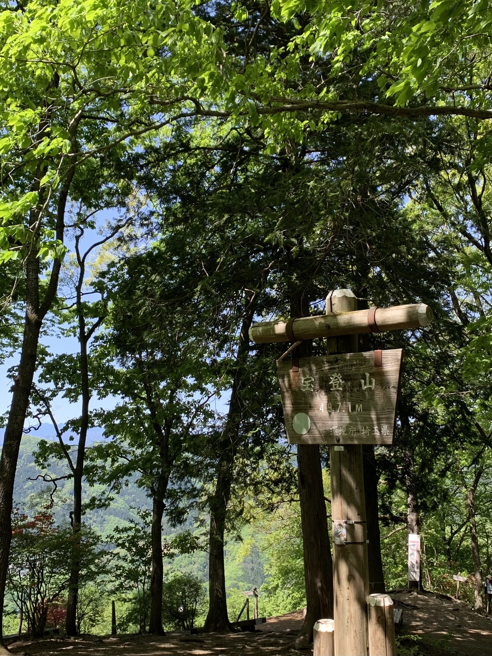 【トレイル】長瀞アルプス宝登山1wayの写真7