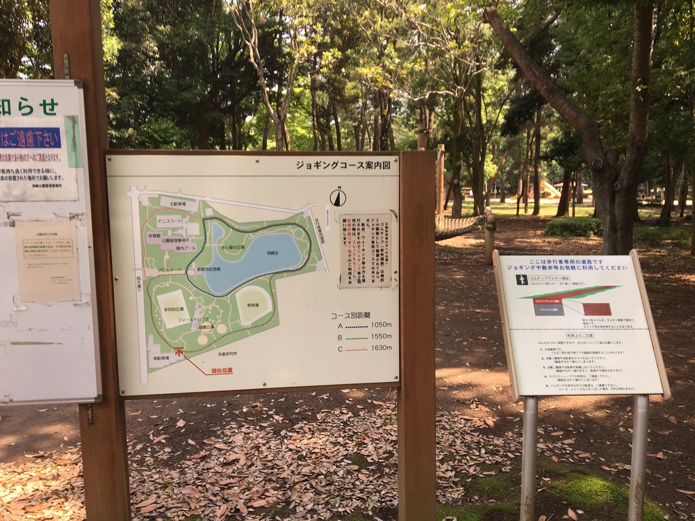 まるで森の中　洞峰公園周回コースの写真4