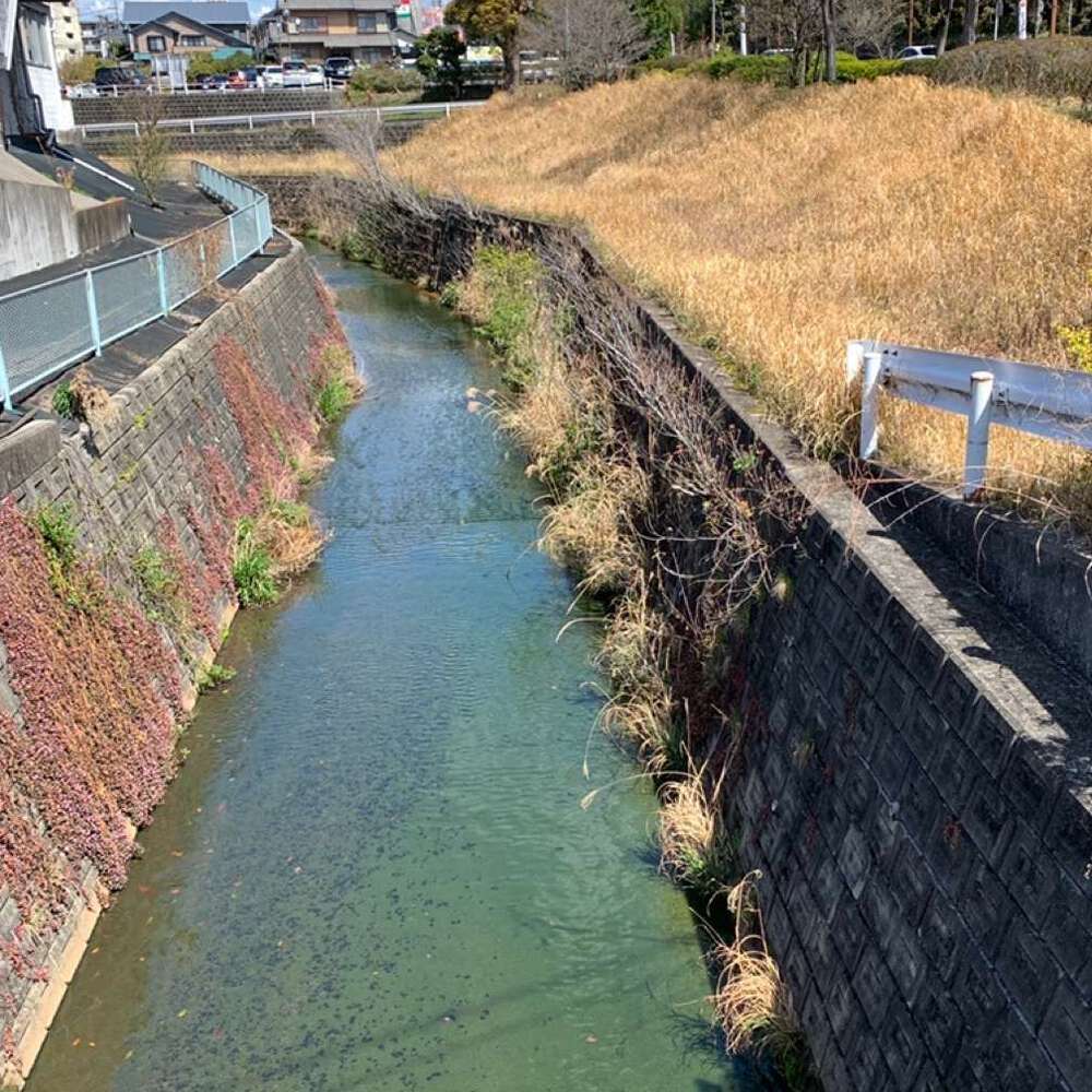 名古屋：植田川・走破／猪高緑地～源流～本郷～名二環～焼山～植田の写真4