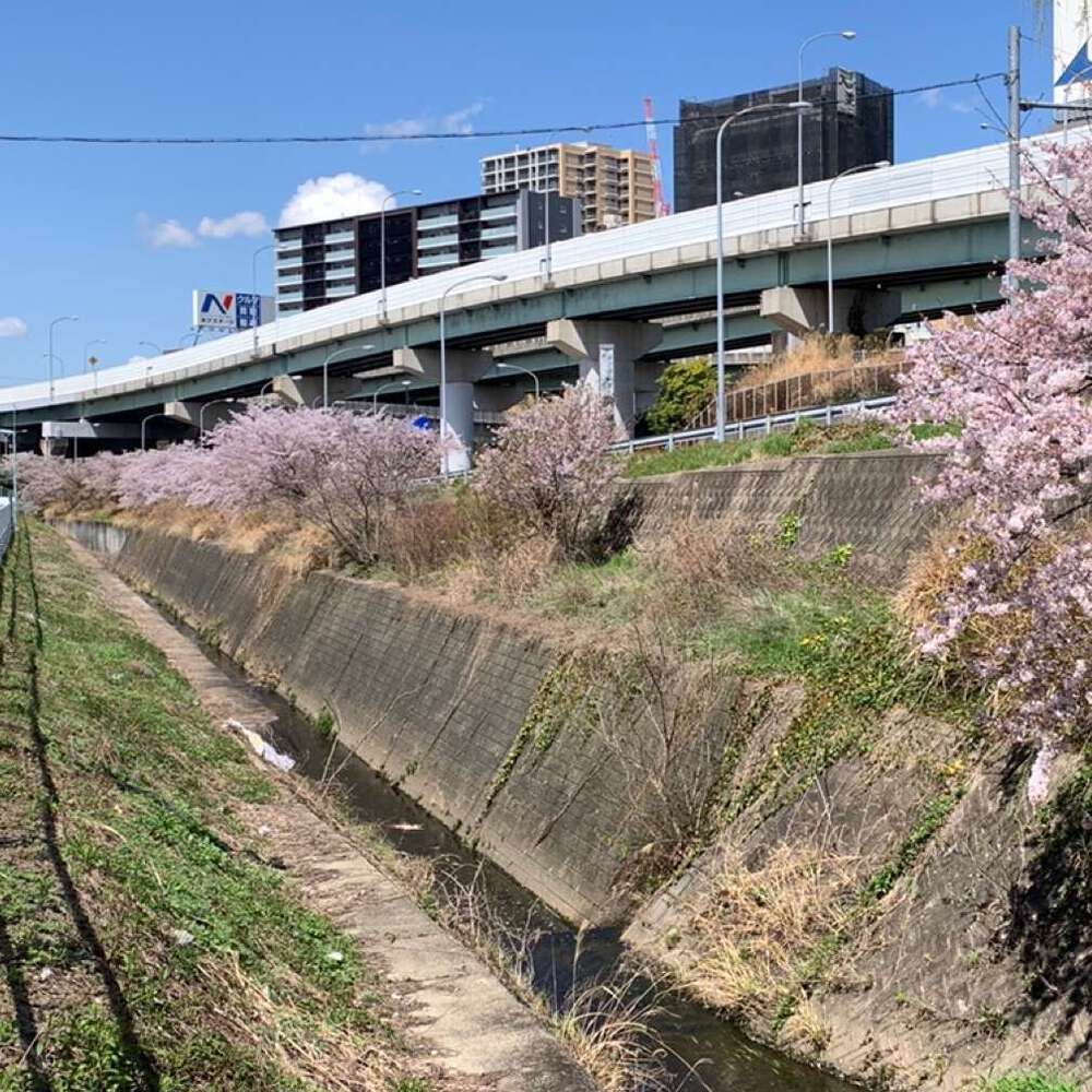 名古屋：植田川・走破／猪高緑地～源流～本郷～名二環～焼山～植田の写真5
