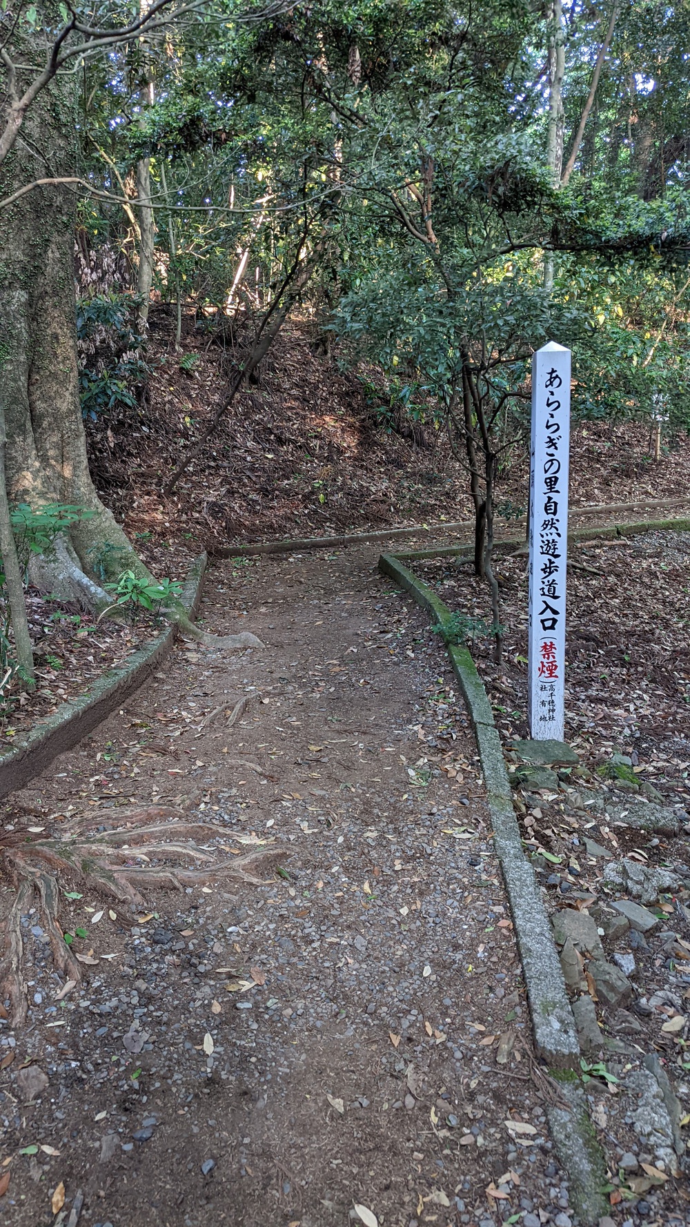 神都!高千穂を走って感じる。高千穂峡周辺の写真10