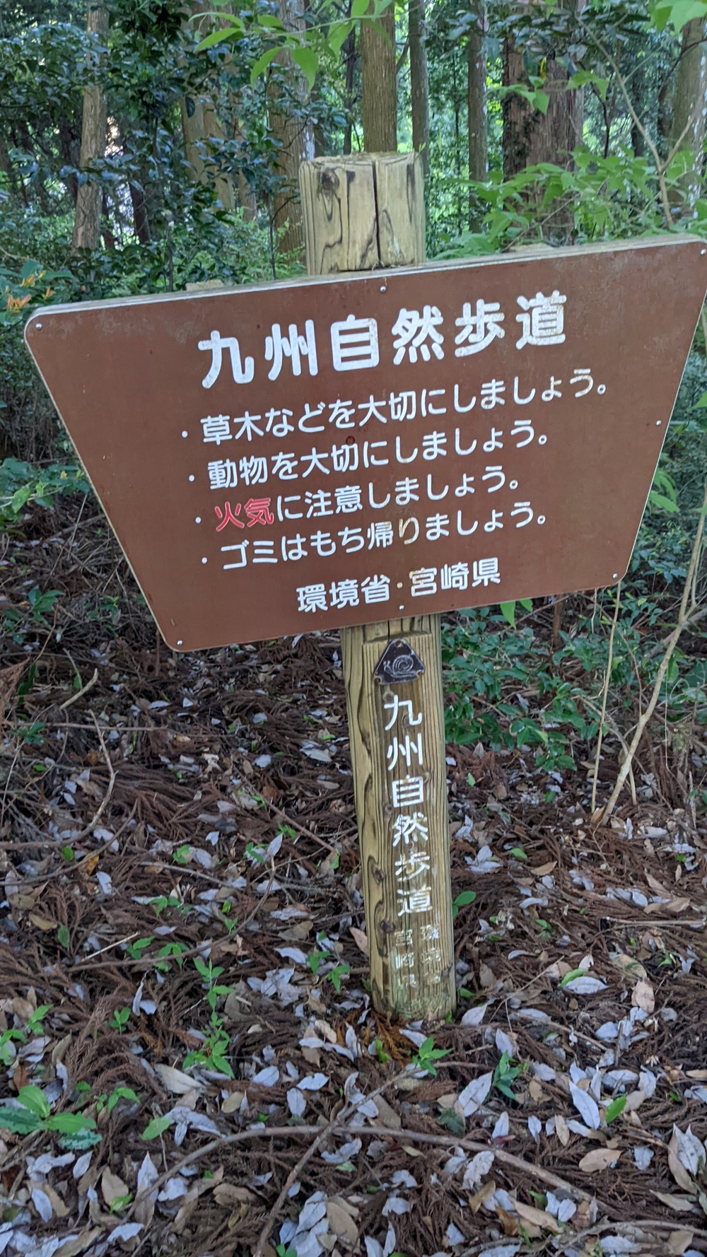 神都!高千穂を走って感じる。高千穂峡周辺の写真11