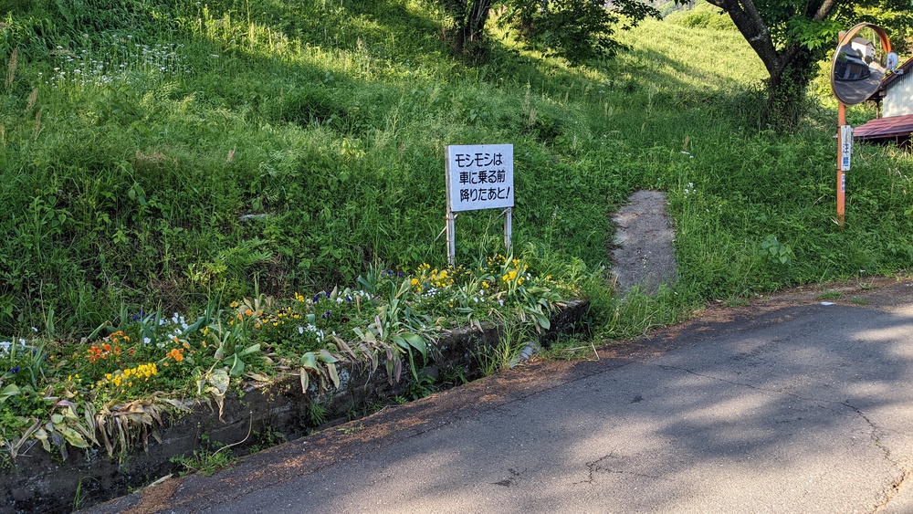 神都!高千穂を走って感じる。高千穂峡周辺の写真22