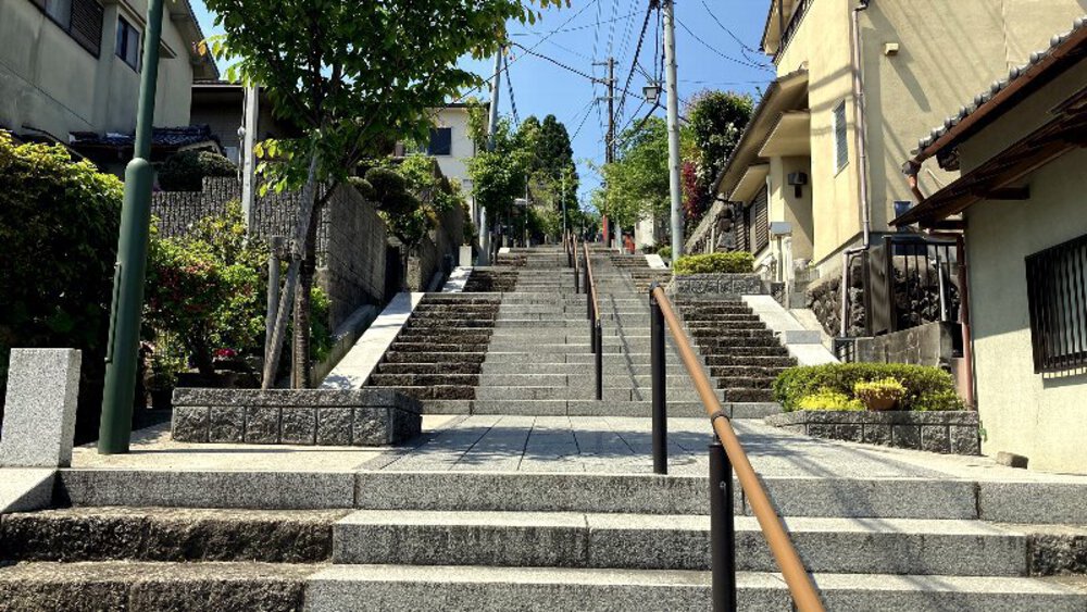 ピンクの壁【つつじローーール♪】の写真3