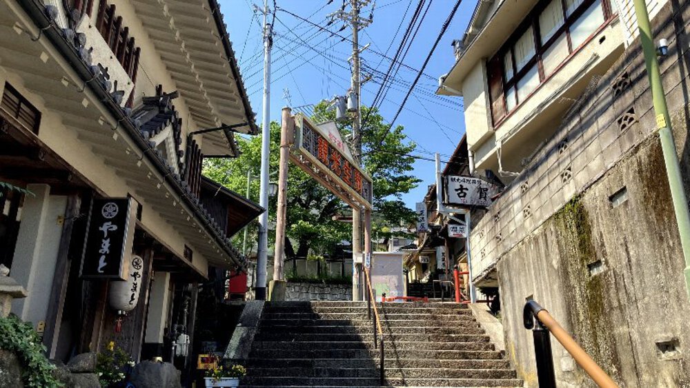 ピンクの壁【つつじローーール♪】の写真4