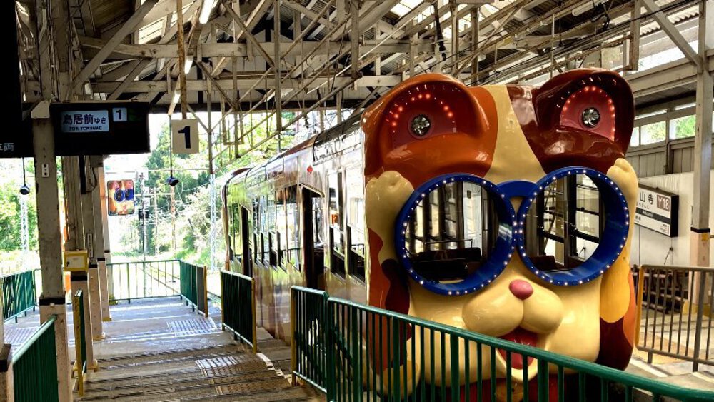 ピンクの壁【つつじローーール♪】の写真5