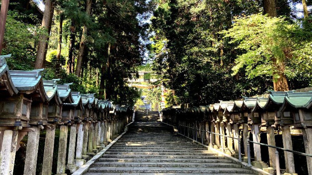 ピンクの壁【つつじローーール♪】の写真6