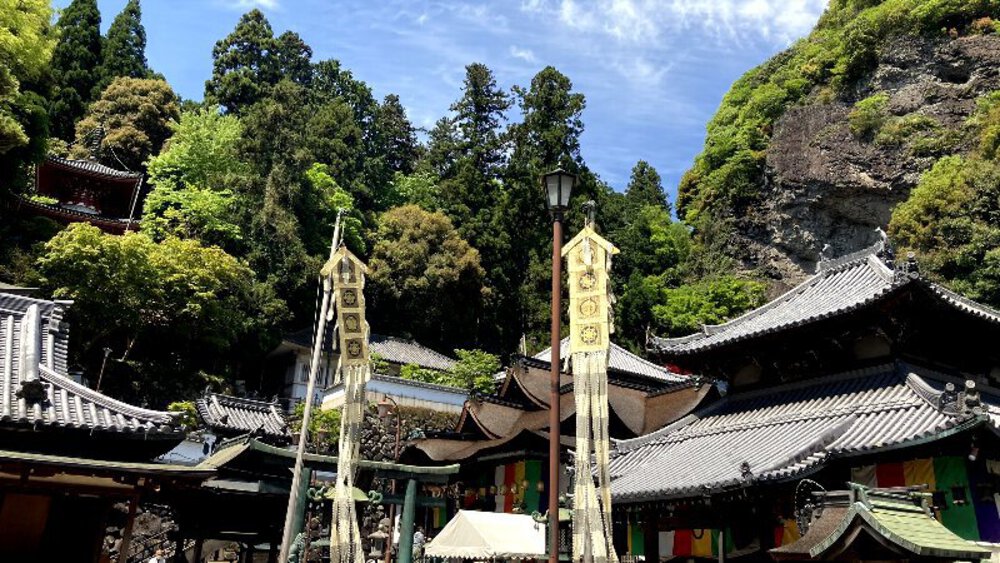 ピンクの壁【つつじローーール♪】の写真8