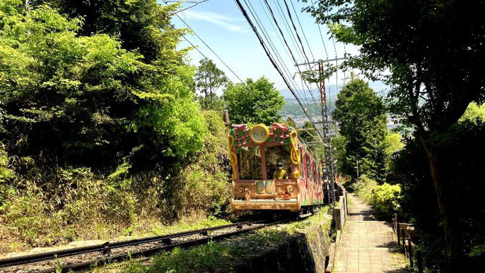 ピンクの壁【つつじローーール♪】の写真9