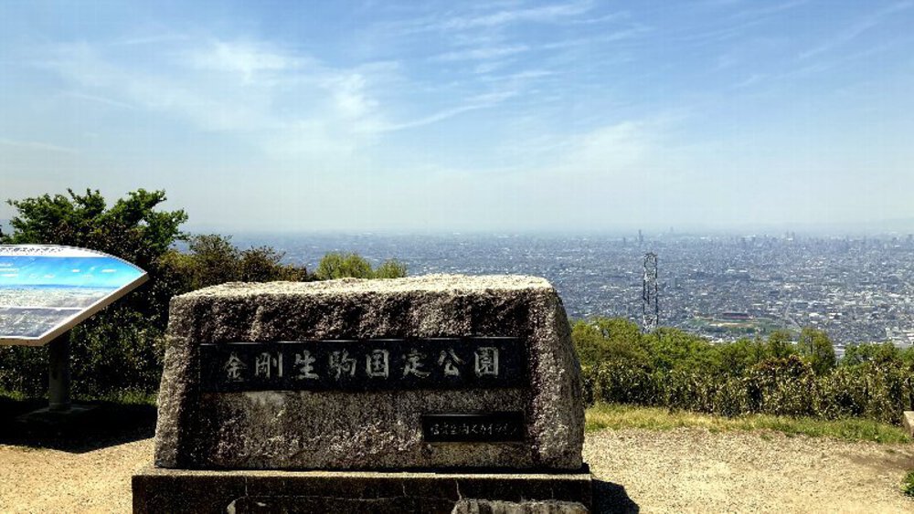 ピンクの壁【つつじローーール♪】の写真14