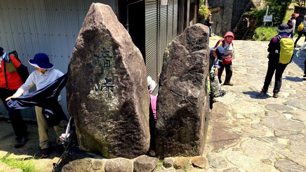 ピンクの壁【つつじローーール♪】の写真16