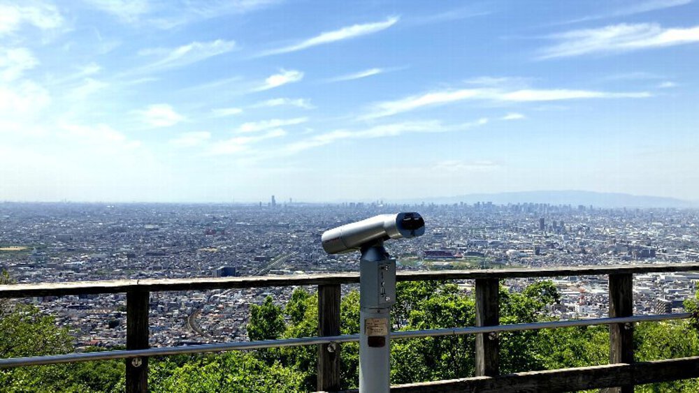 ピンクの壁【つつじローーール♪】の写真19