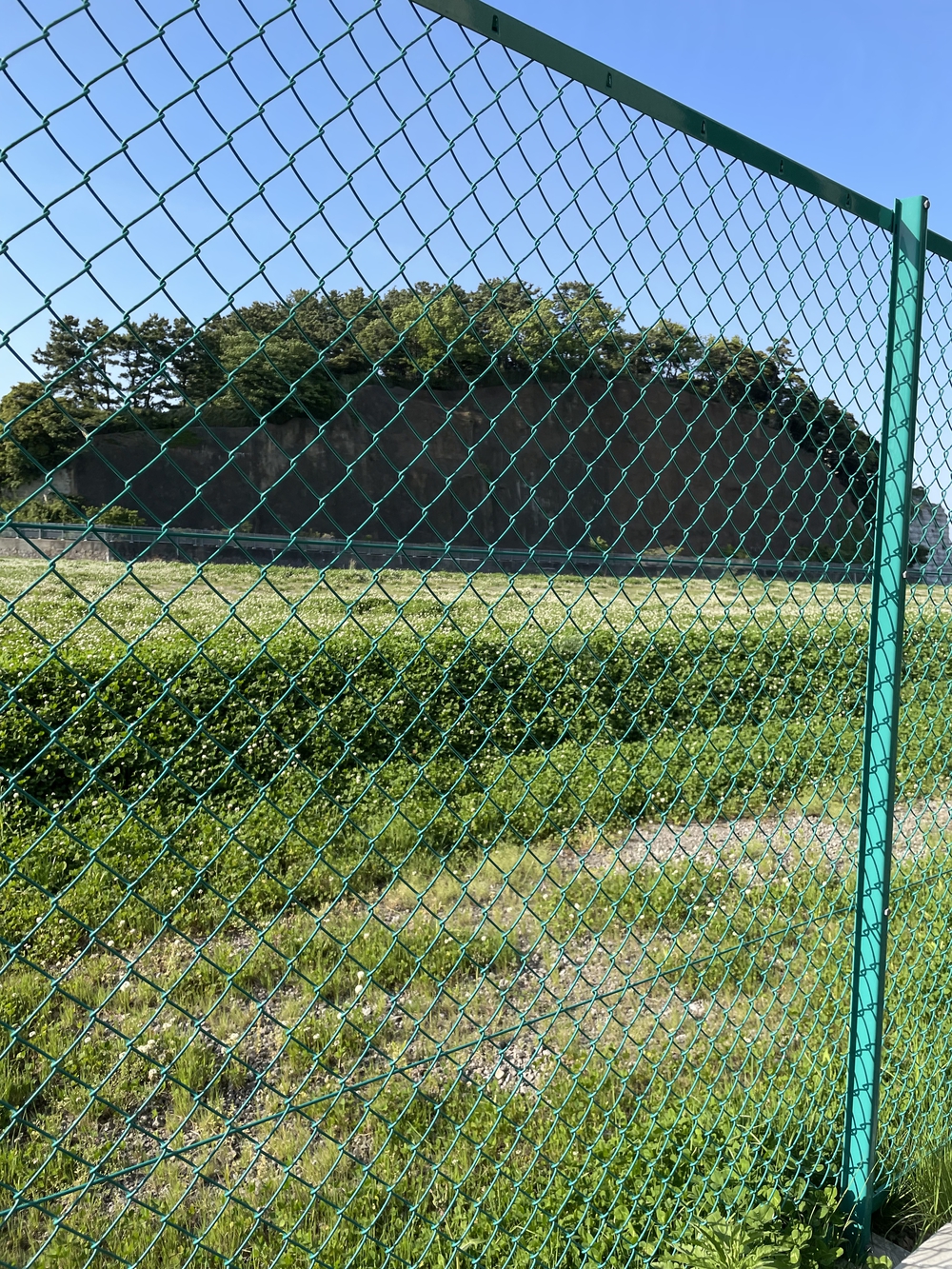 横浜シティウォーク20kmコースの写真3