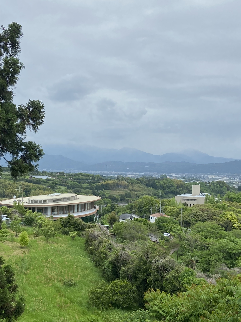 ゆるトレ日記『小田原城の裏山〜いこいの森散策』の写真4