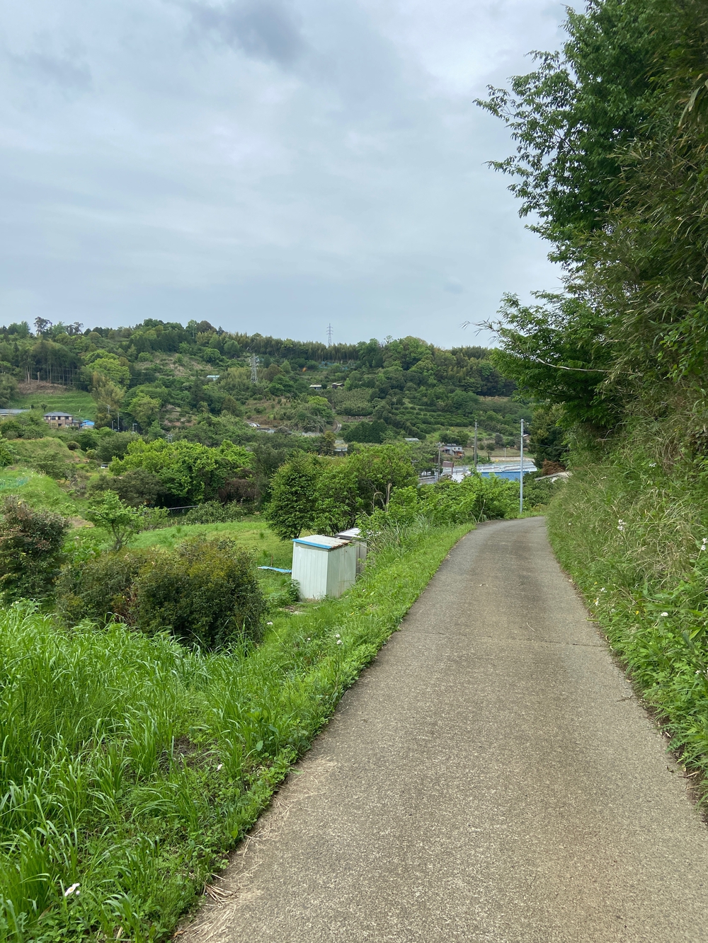 ゆるトレ日記『小田原城の裏山〜いこいの森散策』の写真5