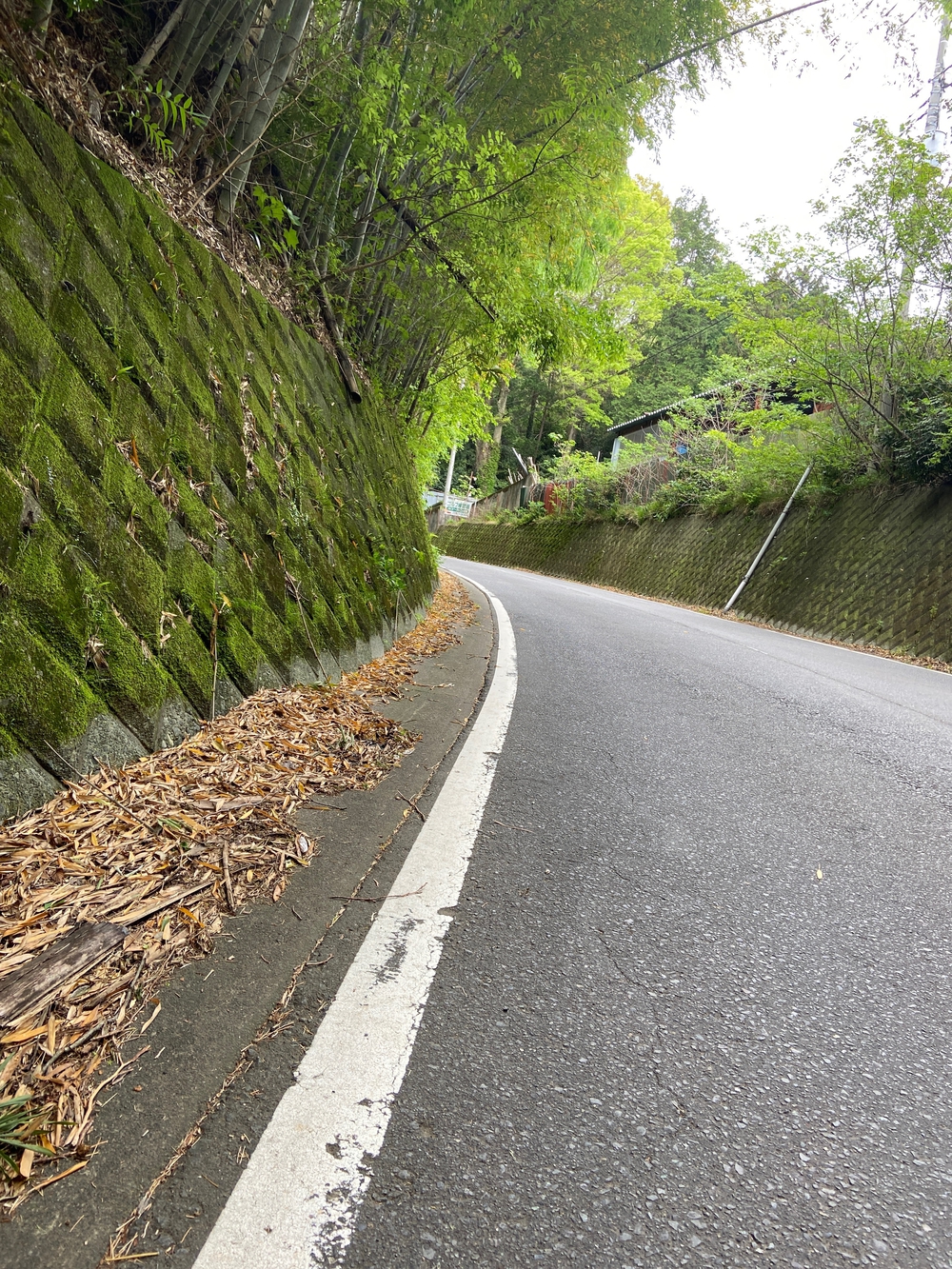 ゆるトレ日記『小田原城の裏山〜いこいの森散策』の写真6