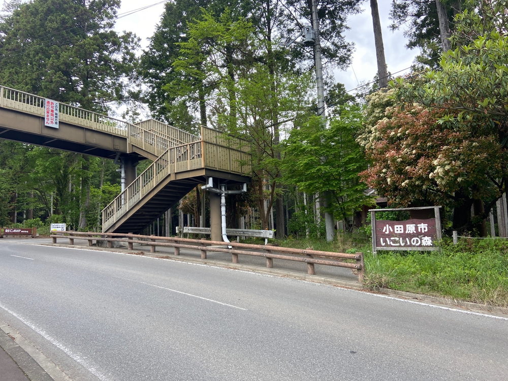 ゆるトレ日記『小田原城の裏山〜いこいの森散策』の写真7