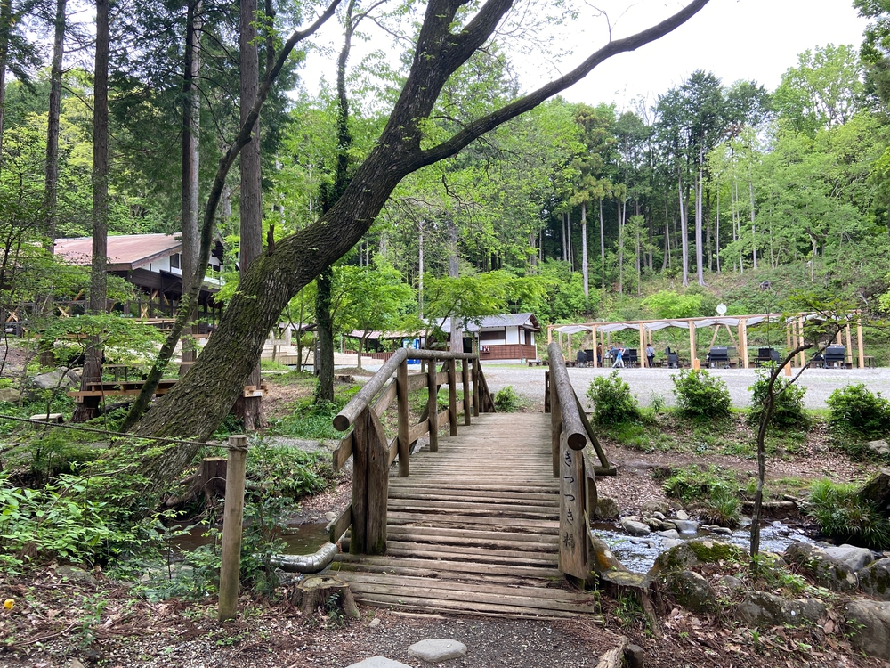 ゆるトレ日記『小田原城の裏山〜いこいの森散策』の写真8