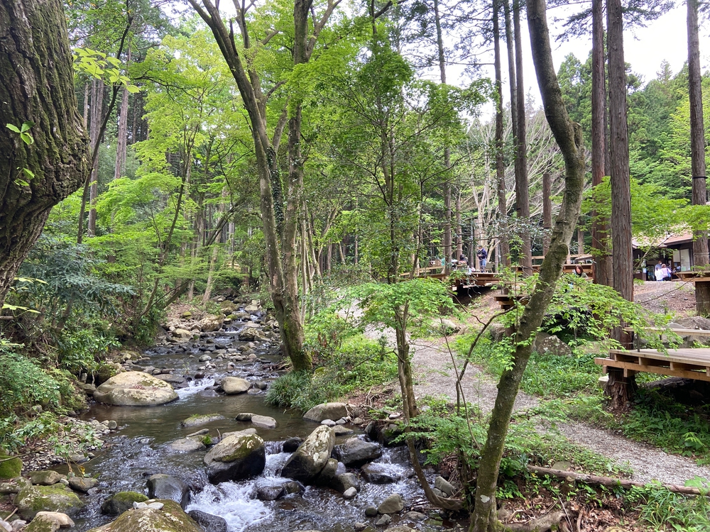 ゆるトレ日記『小田原城の裏山〜いこいの森散策』の写真9