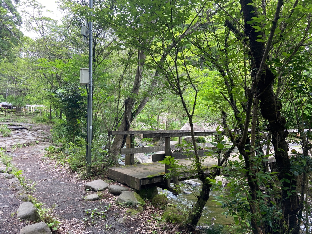 ゆるトレ日記『小田原城の裏山〜いこいの森散策』の写真14