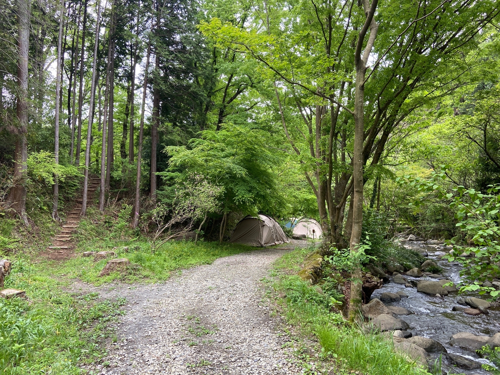 ゆるトレ日記『小田原城の裏山〜いこいの森散策』の写真15