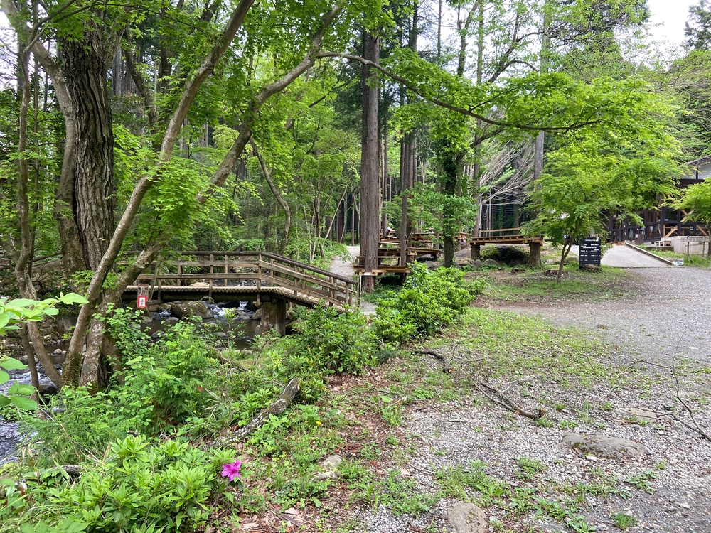 ゆるトレ日記『小田原城の裏山〜いこいの森散策』の写真16