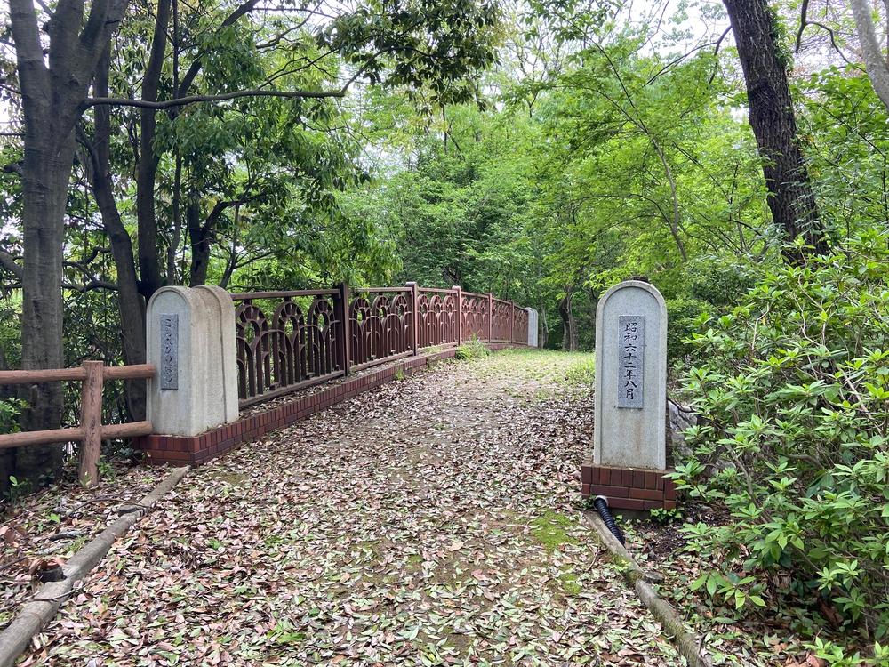 ゆるトレ日記『小田原城の裏山〜いこいの森散策』の写真17