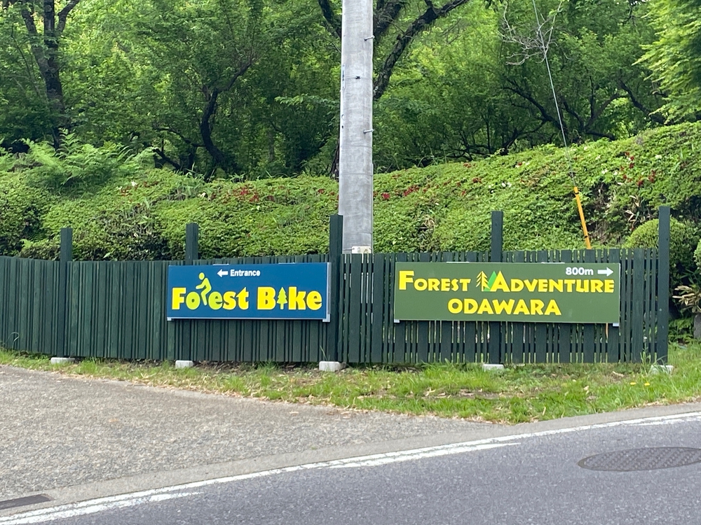 ゆるトレ日記『小田原城の裏山〜いこいの森散策』の写真18