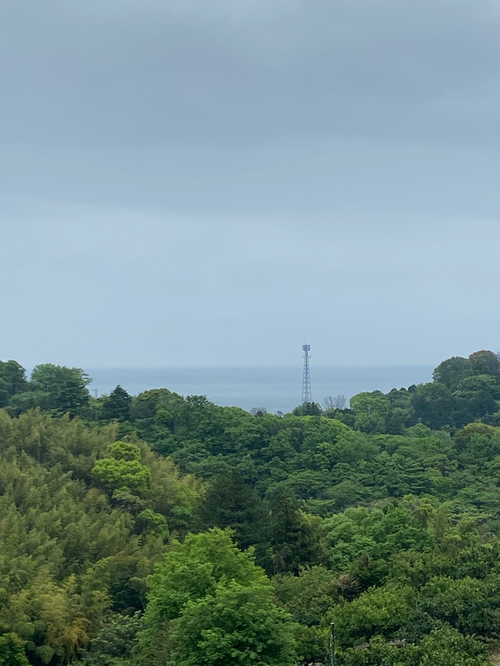 ゆるトレ日記『小田原城の裏山〜いこいの森散策』の写真21