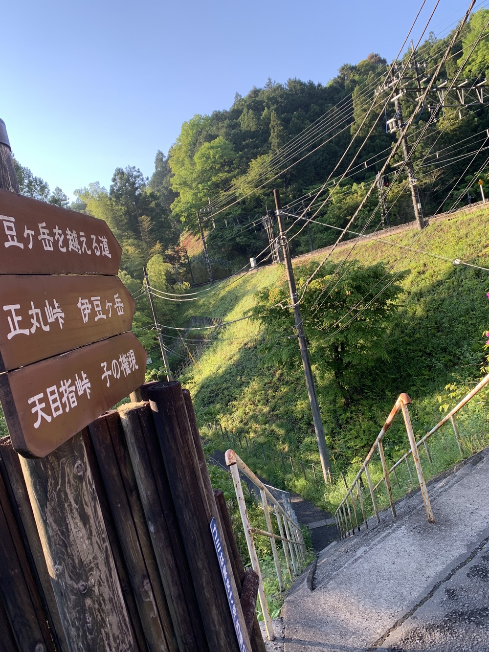 【トレイル】奥武蔵　伊豆ヶ岳1wayの写真3