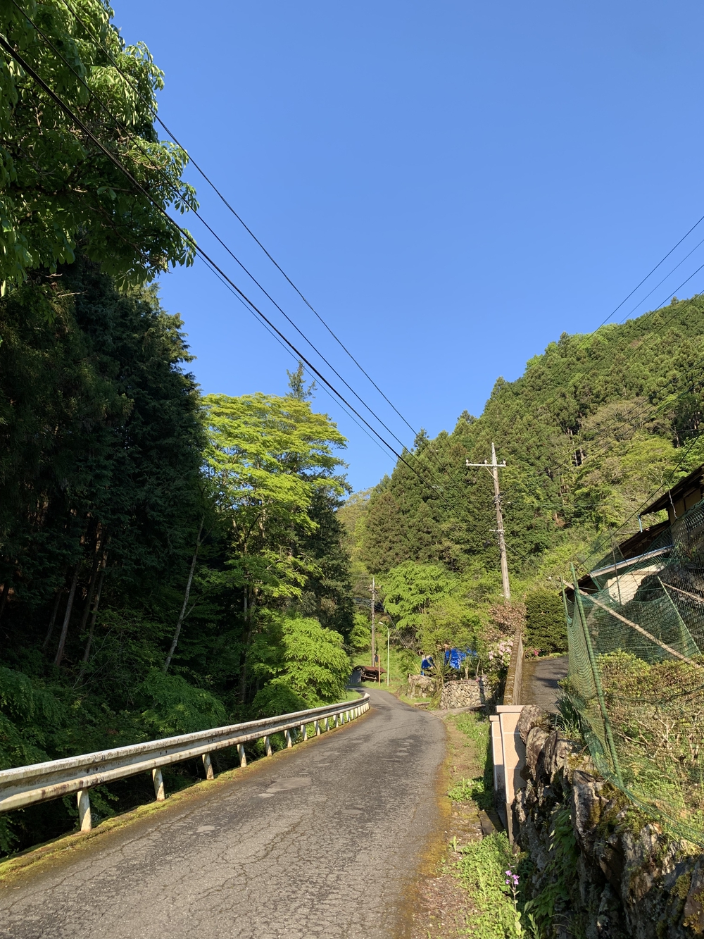 【トレイル】奥武蔵　伊豆ヶ岳1wayの写真4