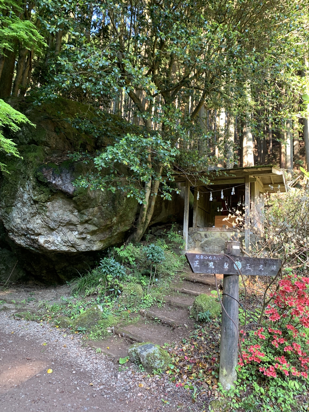 【トレイル】奥武蔵　伊豆ヶ岳1wayの写真5