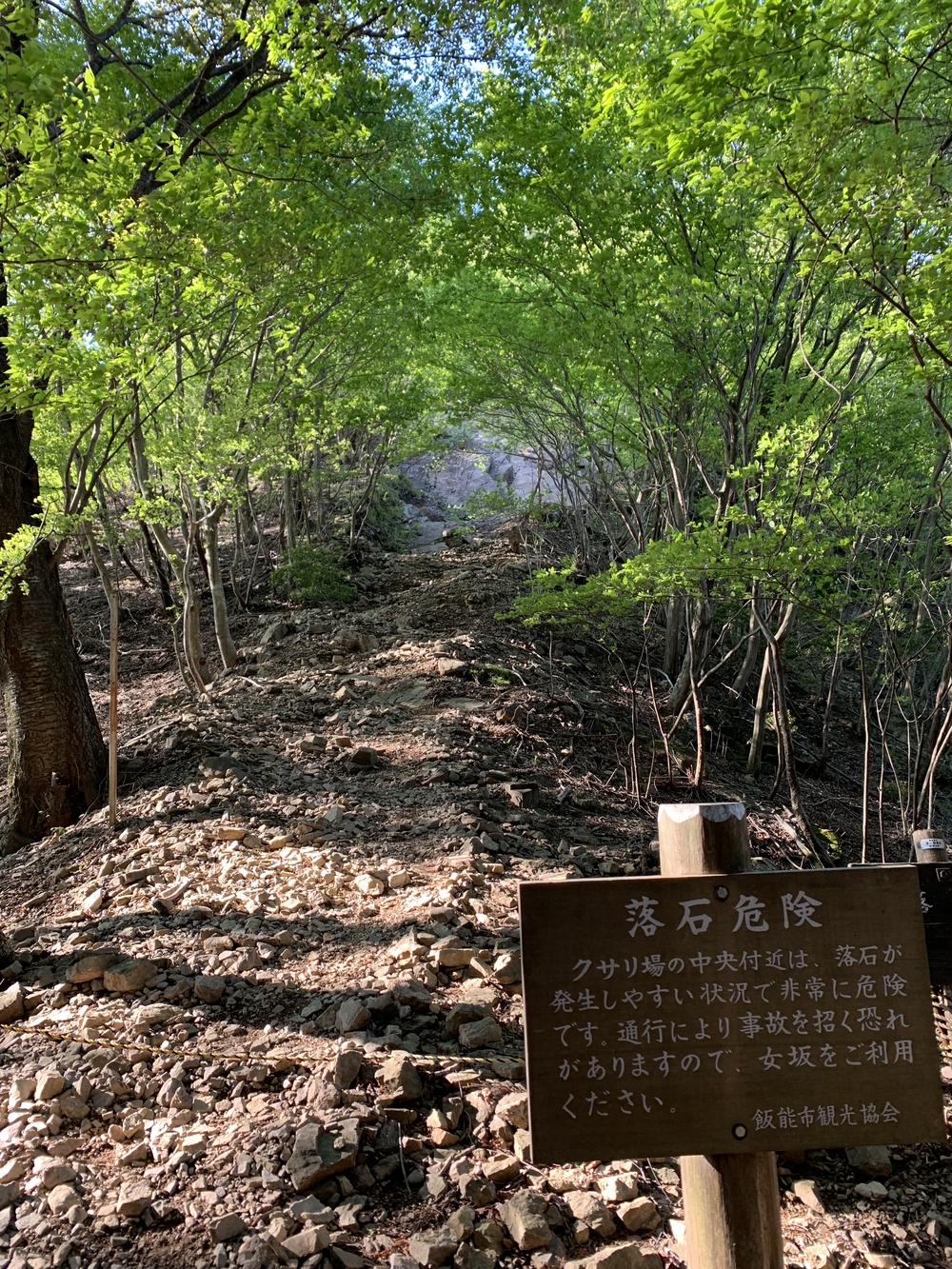 【トレイル】奥武蔵　伊豆ヶ岳1wayの写真10