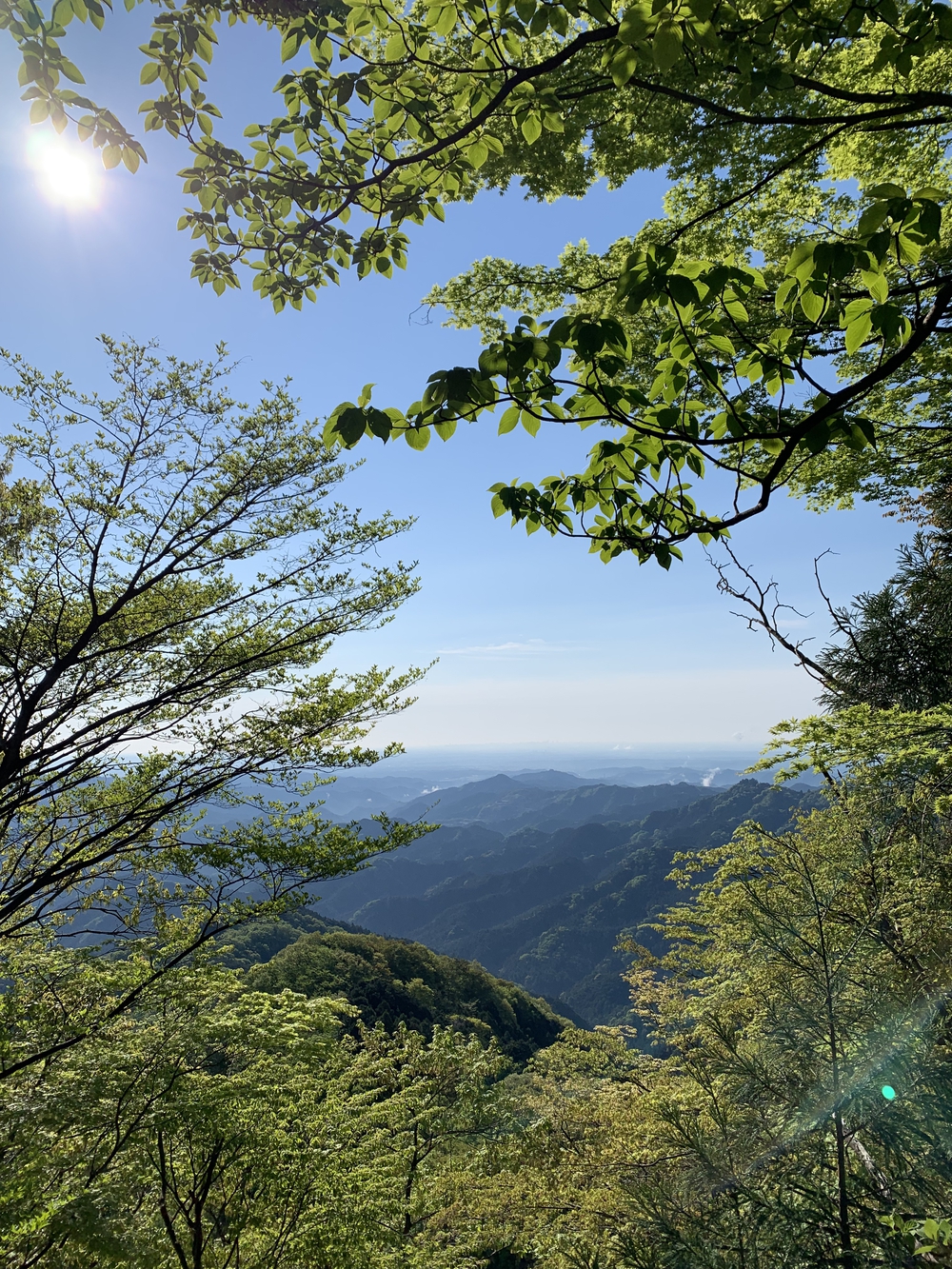 【トレイル】奥武蔵　伊豆ヶ岳1wayの写真11