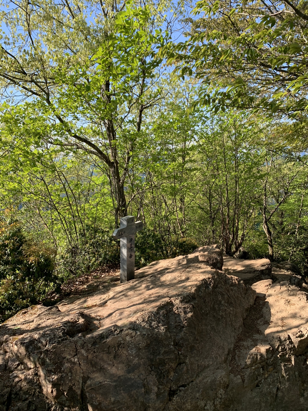 【トレイル】奥武蔵　伊豆ヶ岳1wayの写真12