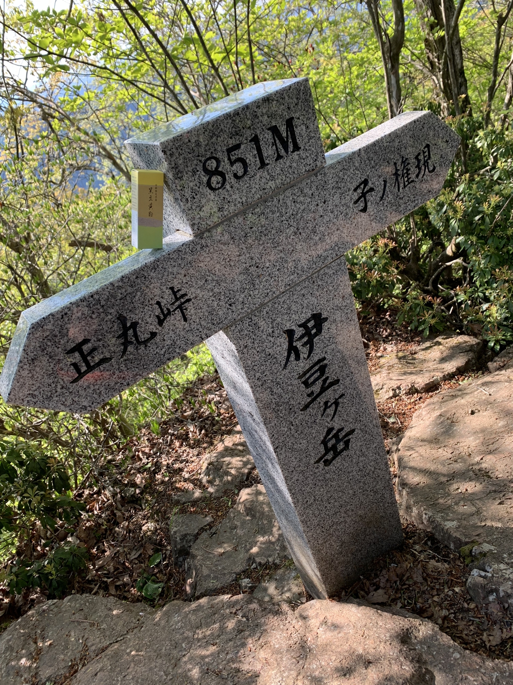 【トレイル】奥武蔵　伊豆ヶ岳1wayの写真13