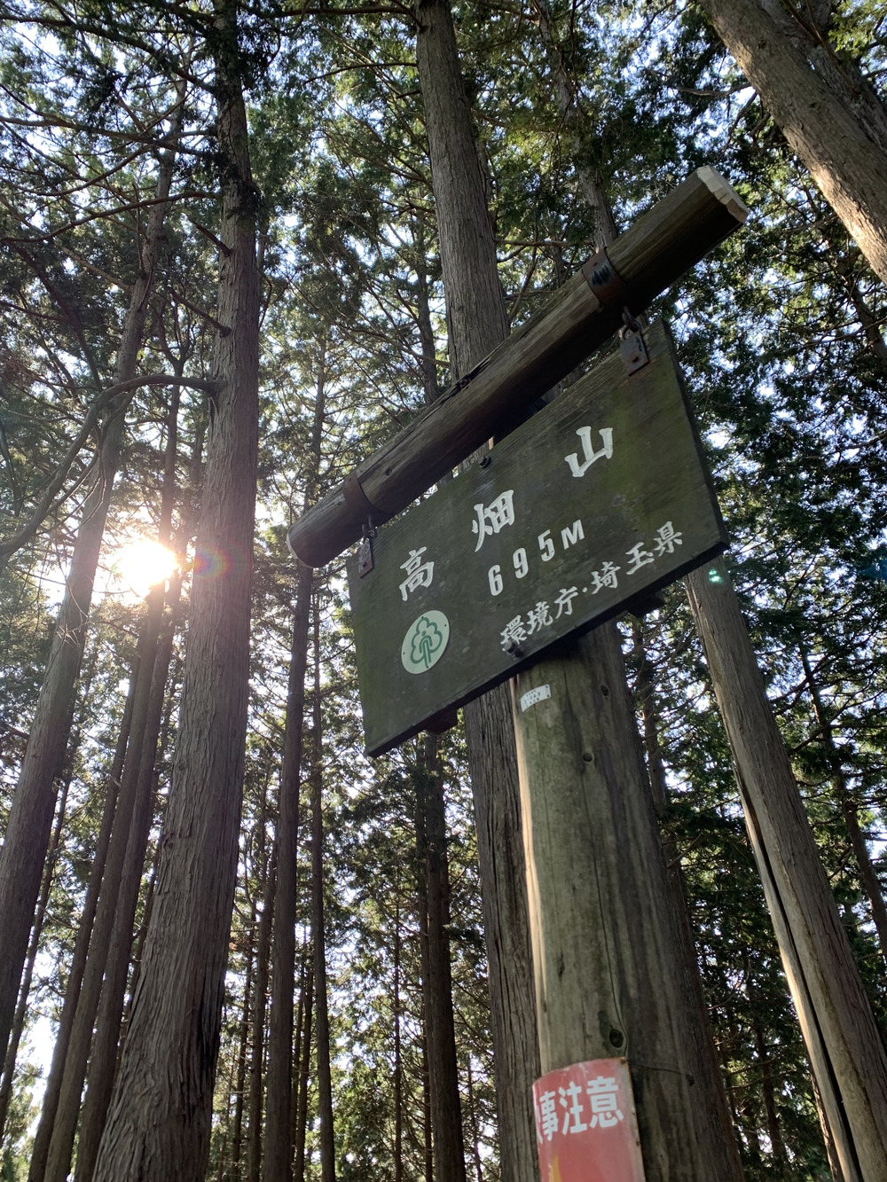 【トレイル】奥武蔵　伊豆ヶ岳1wayの写真15