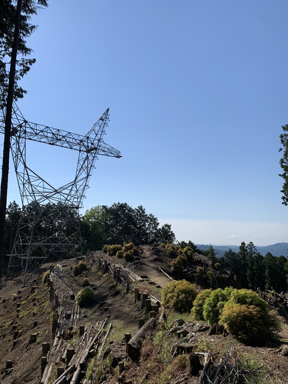 【トレイル】奥武蔵　伊豆ヶ岳1wayの写真16