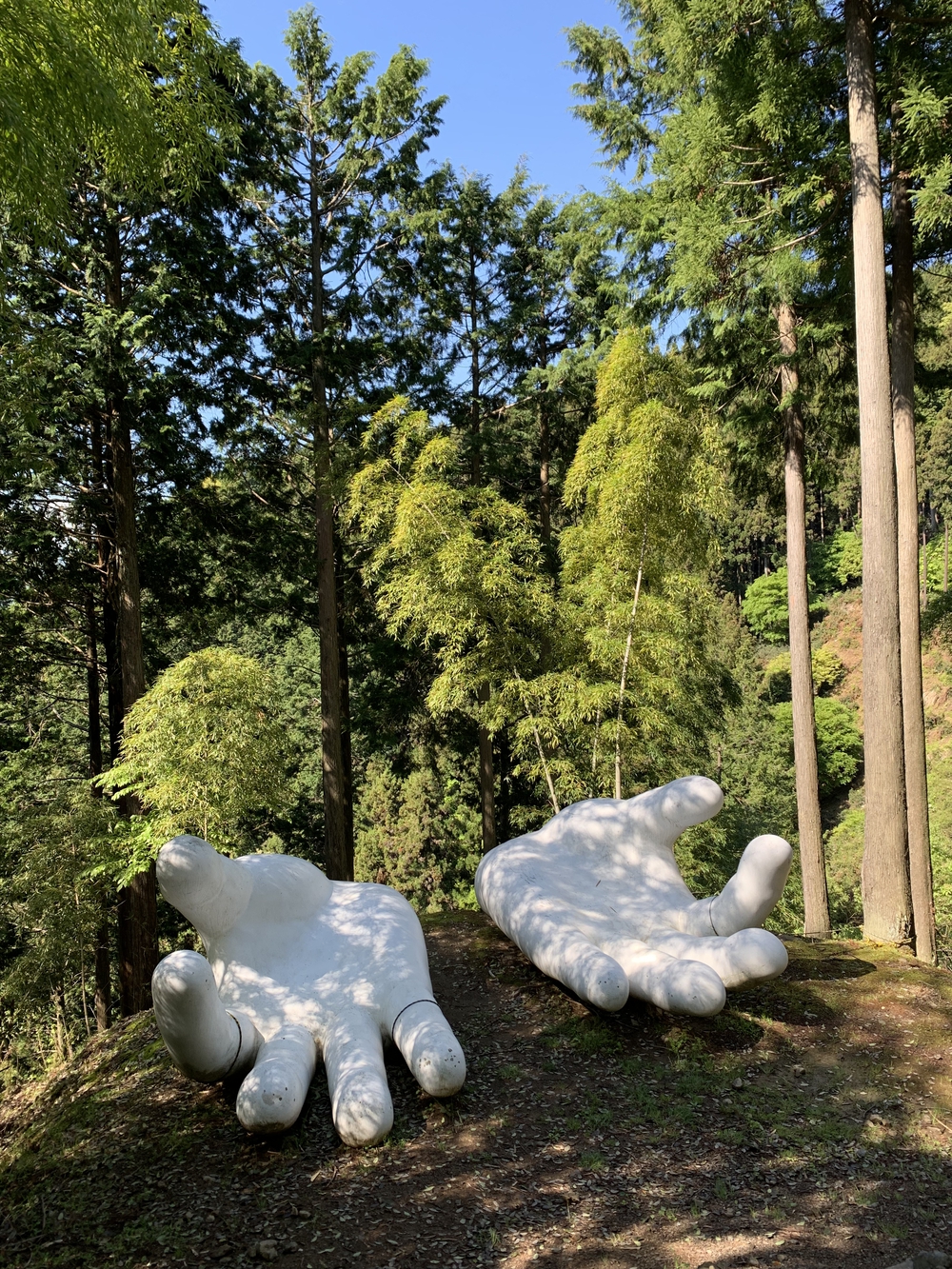 【トレイル】奥武蔵　伊豆ヶ岳1wayの写真18