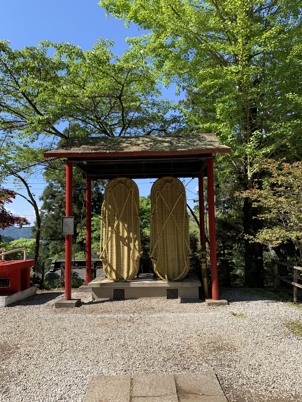 【トレイル】奥武蔵　伊豆ヶ岳1wayの写真19