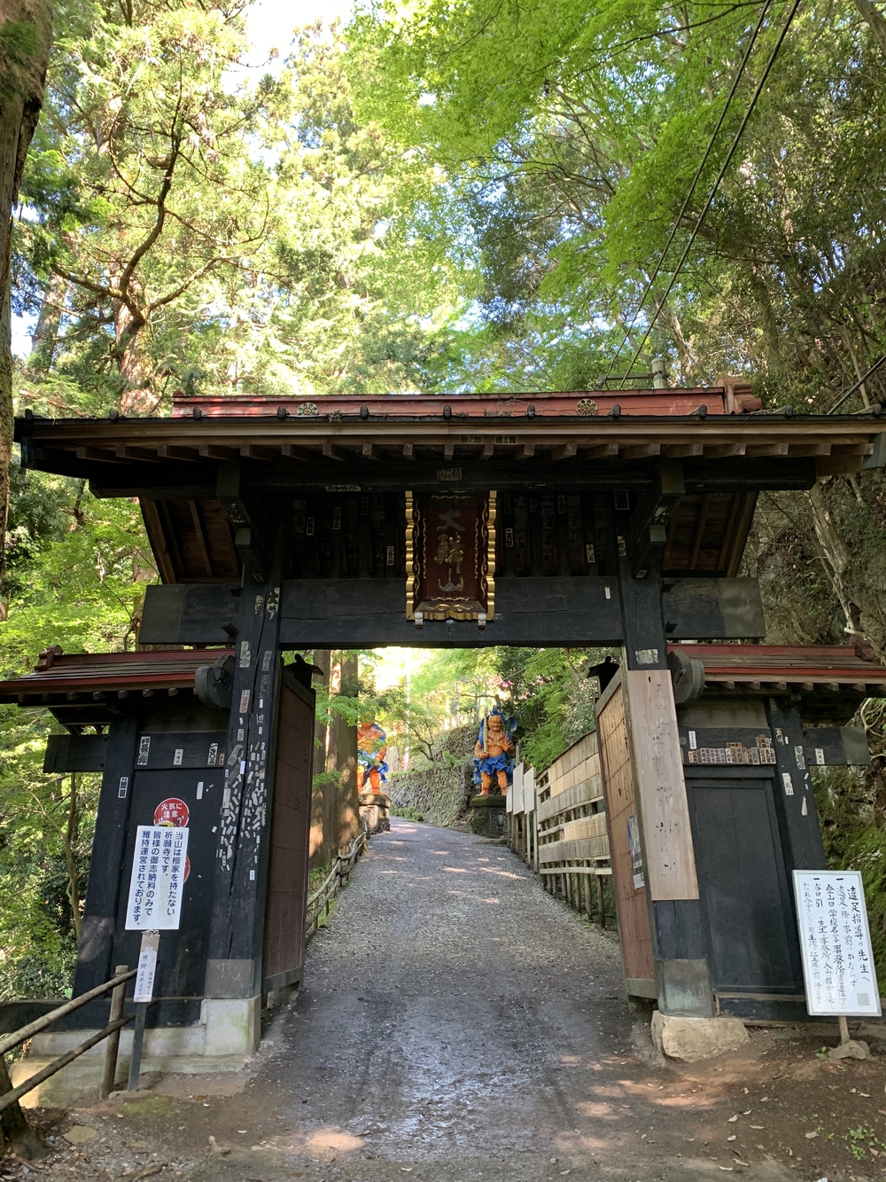 【トレイル】奥武蔵　伊豆ヶ岳1wayの写真20