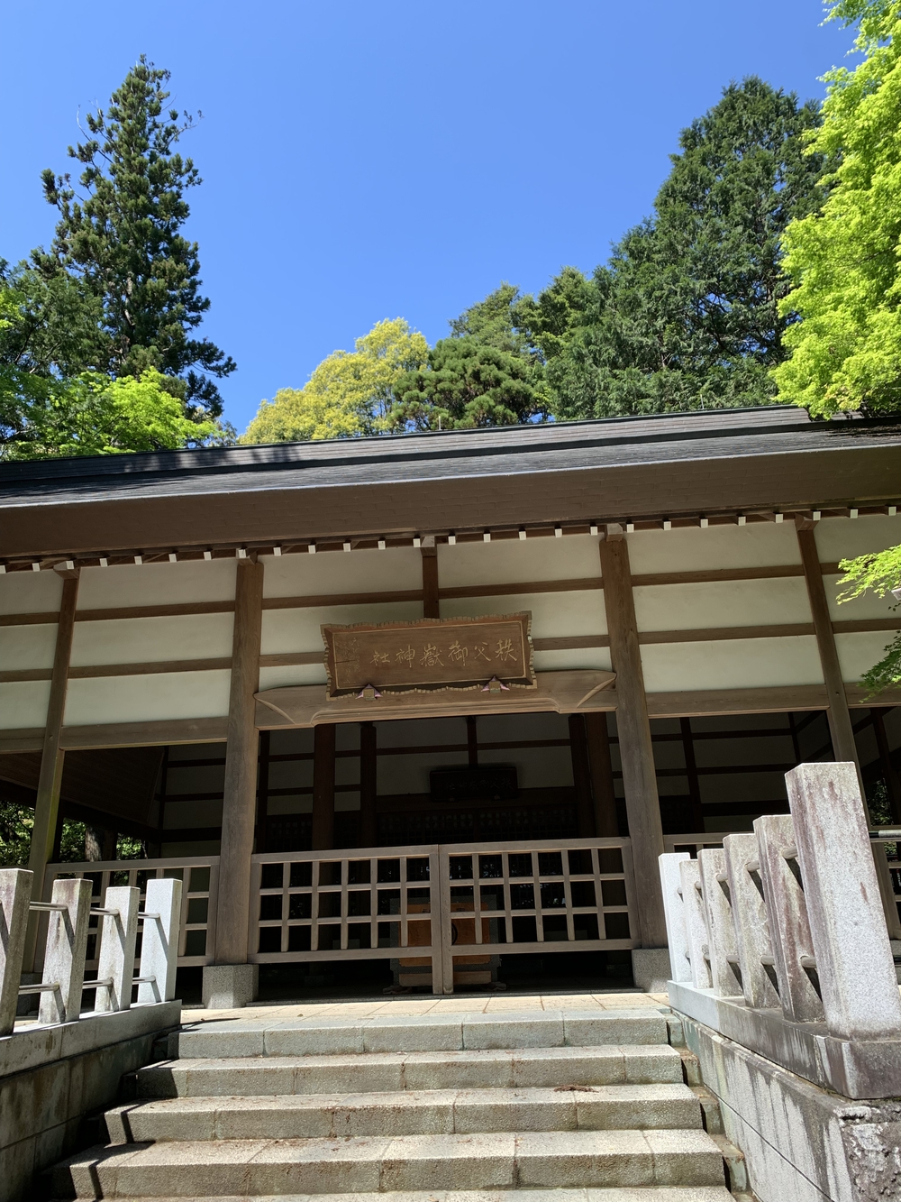 【トレイル】奥武蔵　伊豆ヶ岳1wayの写真22