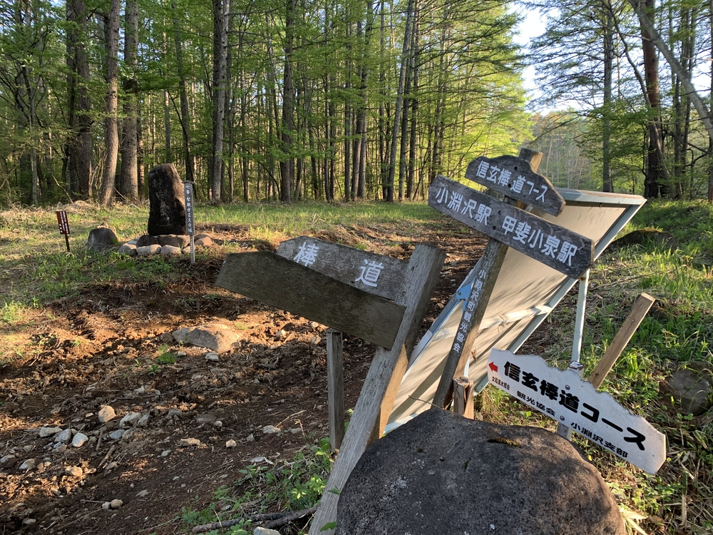 スリーピークス八ヶ岳トレイル Attack Lineの写真5