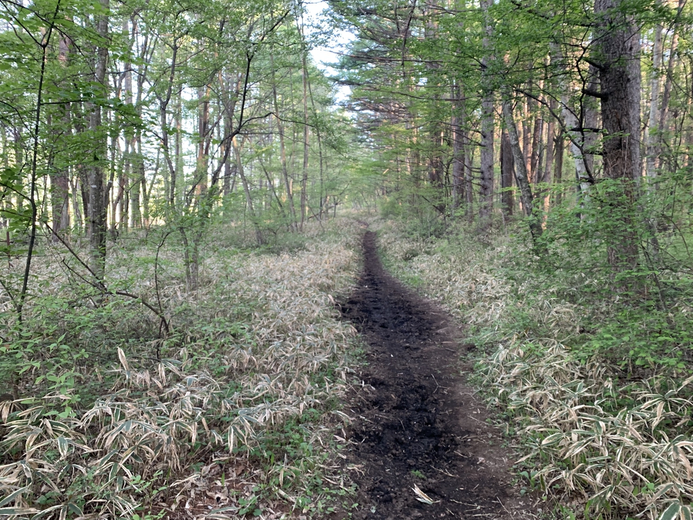 スリーピークス八ヶ岳トレイル Attack Lineの写真6