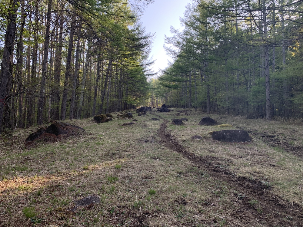 スリーピークス八ヶ岳トレイル Attack Lineの写真7