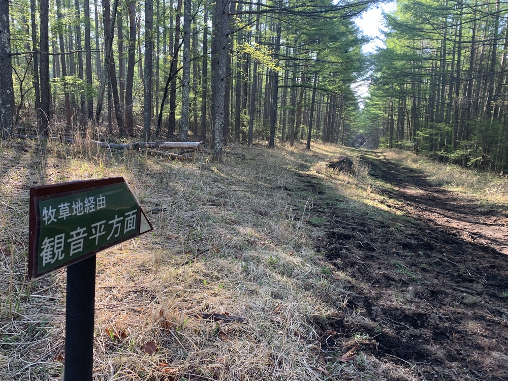 スリーピークス八ヶ岳トレイル Attack Lineの写真8