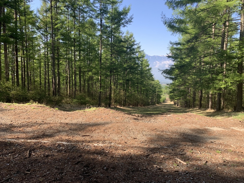 スリーピークス八ヶ岳トレイル Attack Lineの写真9