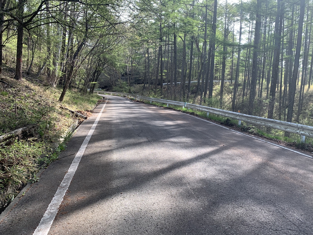 スリーピークス八ヶ岳トレイル Attack Lineの写真10