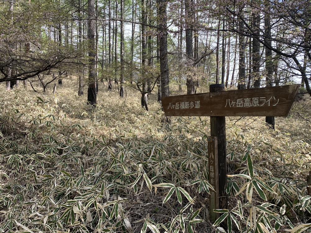 スリーピークス八ヶ岳トレイル Attack Lineの写真11