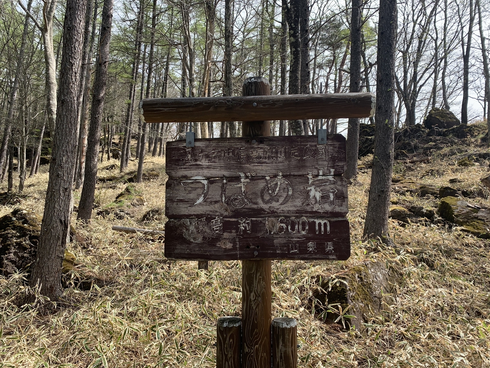 スリーピークス八ヶ岳トレイル Attack Lineの写真12